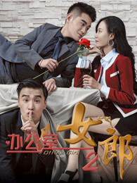 《辦公室女郎 2》