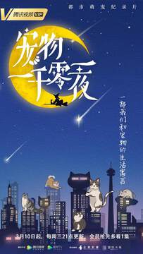 《寵物一千零一夜》