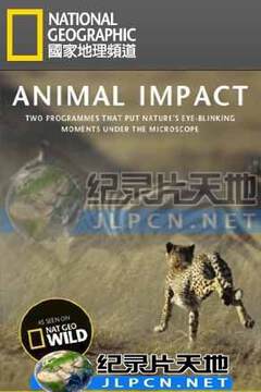 《動物構造大揭密》