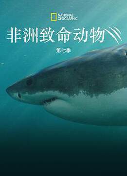 《非洲致命動物 7》