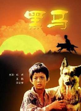 《黑馬》