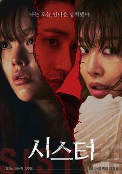 《姐妹 206》