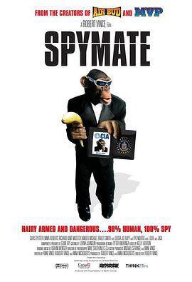 《金剛歸來 Spymate》