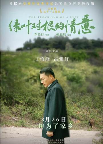 《綠葉對根的情意》