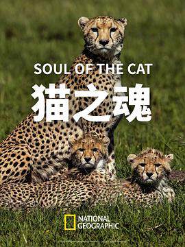 《貓之魂》