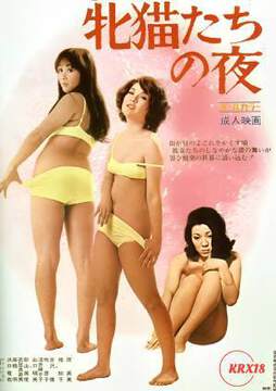 《貓之夜》
