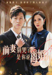 《前妻別哭了是你說離婚的》