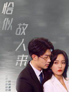 《恰似故人來》