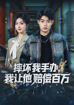 《摔壞我手辦,我讓他賠償百萬》