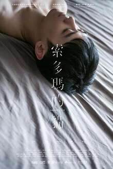 《索多瑪的貓》