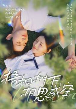 《梧桐樹下，相思成空》