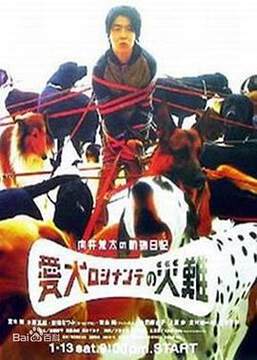 《向井荒太的動物日記》
