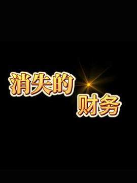 《消失的財務》
