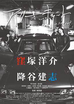 《野良貓》