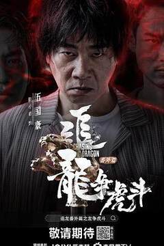 《追龍番外篇之龍爭虎鬥粵語》